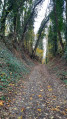 Chemin creux
