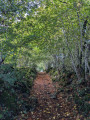 chemin creux