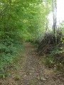 Bocage limousin à Saint-Georges-les-Landes