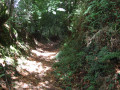 Chemin creux