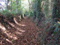 Boucle boisée à Plogastel-Saint-Germain Boucle boisée à Plogastel-Saint-Germain