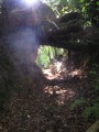chemin creux