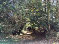 Chemin creux