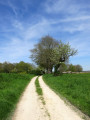 Une boucle dans la campagne environnante de Selles-sur-Nahon Une boucle dans la campagne environnante de Selles-sur-Nahon