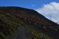 Chemin d'accès au volcan Teneguia