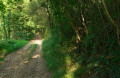 Chemin d'accès