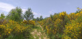 Chemin d'ambiance