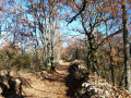 Chemin d'Ardèche en automne