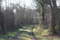 Chemin d'exploitation à proximité de Bois Renoux
