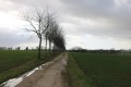 Chemin