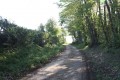 Chemin d'exploitation après Saint Coutant