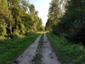 Chemin d'exploitation assurant la liaison entre le long de la Jalle du Nord et le chenal du Milieu