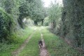 Chemin d'exploitation au dessus du vallon de l'étang de Chaboussant