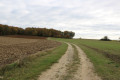 Chemin dans la campagne