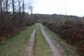Chemin d'exploitation dans le bois près de Benon Chemin d'exploitation dans le bois près de Benon