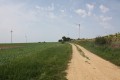 Chemin d'exploitation de la plaine du Mont Jason