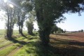 Chemin d'exploitation du plateau mellois