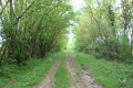 Chemin
