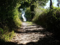 Chemin en direction de Rault