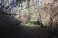 Chemin d'exploitation