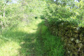 Chemin d'exploitation en flanc de vallon