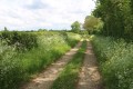 Chemin