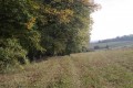 Chemin d'exploitation en lisière de bois de Niederwald