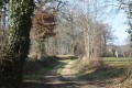 Chemin d'exploitation en lisière de bois