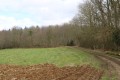Chemin en lisière