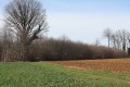 Chemin d'exploitation en lisière du Bois de la Garde