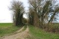 Chemin Chemin