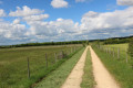 Chemin entre els prés