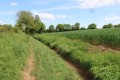Chemin