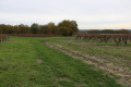Chemin près du bois Métriers