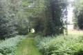Chemin d'exploitation enherbé