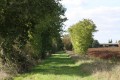 Chemin d'exploitation enherbé