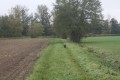 Chemin d'exploitation enherbé