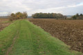 Chemin enherbé Chemin enherbé