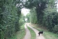 Chemin d'exploitation entre Vilaine et Périgné
