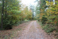 Grenzpfad vom Col du Litschhof nach Nothweiler