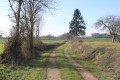 Chemin d'exploitation (GR 366) sur le plateau au dessus de Brieuil.