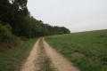Chemin d'exploitation le long du Bois du Quart