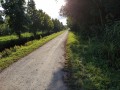 Chemin d'exploitation le long du chenal du Milieu
