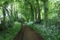 Chemin