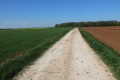 Chemin d'exploitation ou chemin blanc