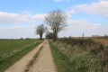 Chemin des Romains