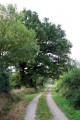 Chemin d'exploitation près de Montipouret