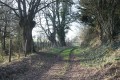 Chemin d'exploitation proche des Grandes Fontaines