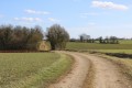 Bocage