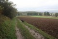 Chemin d'exploitation sous le Mont de Gunstett